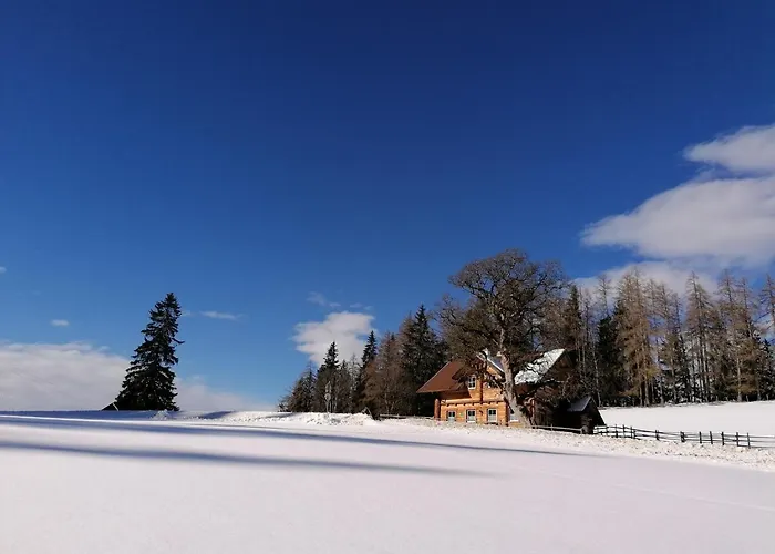 Ferienhaus Bichlhuette