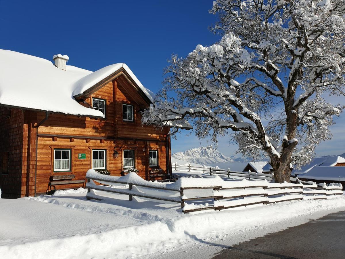 Bichlhuette Holiday home *