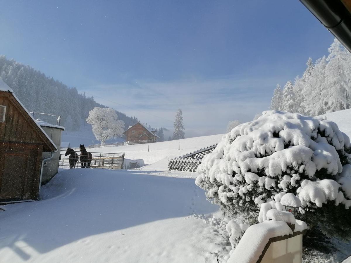 Bichlhuette Holiday home Pruggern