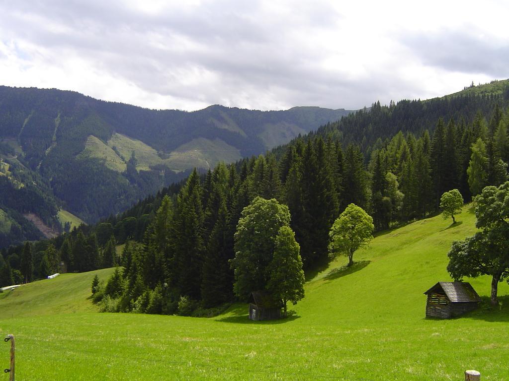 Bichlhuette Holiday home Pruggern