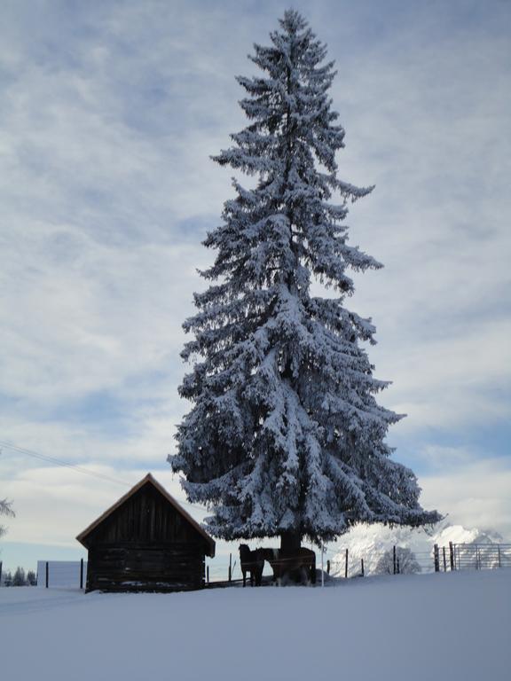 Holiday home Bichlhuette *