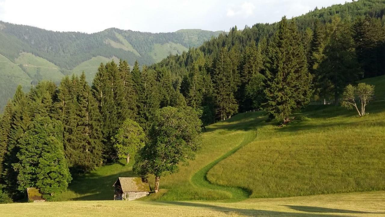 Ferienhaus Bichlhütte *