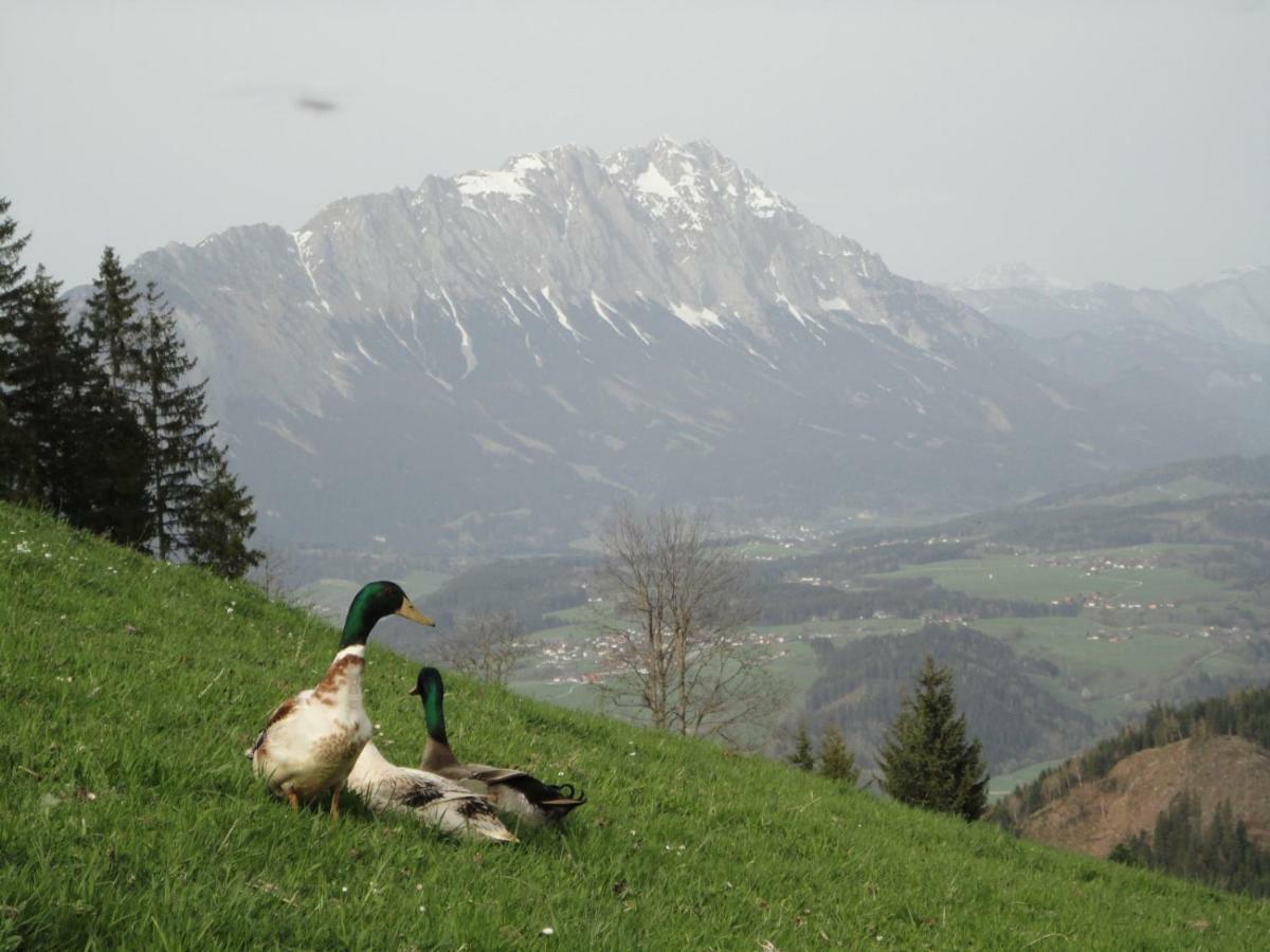 Ferienhaus Bichlhütte