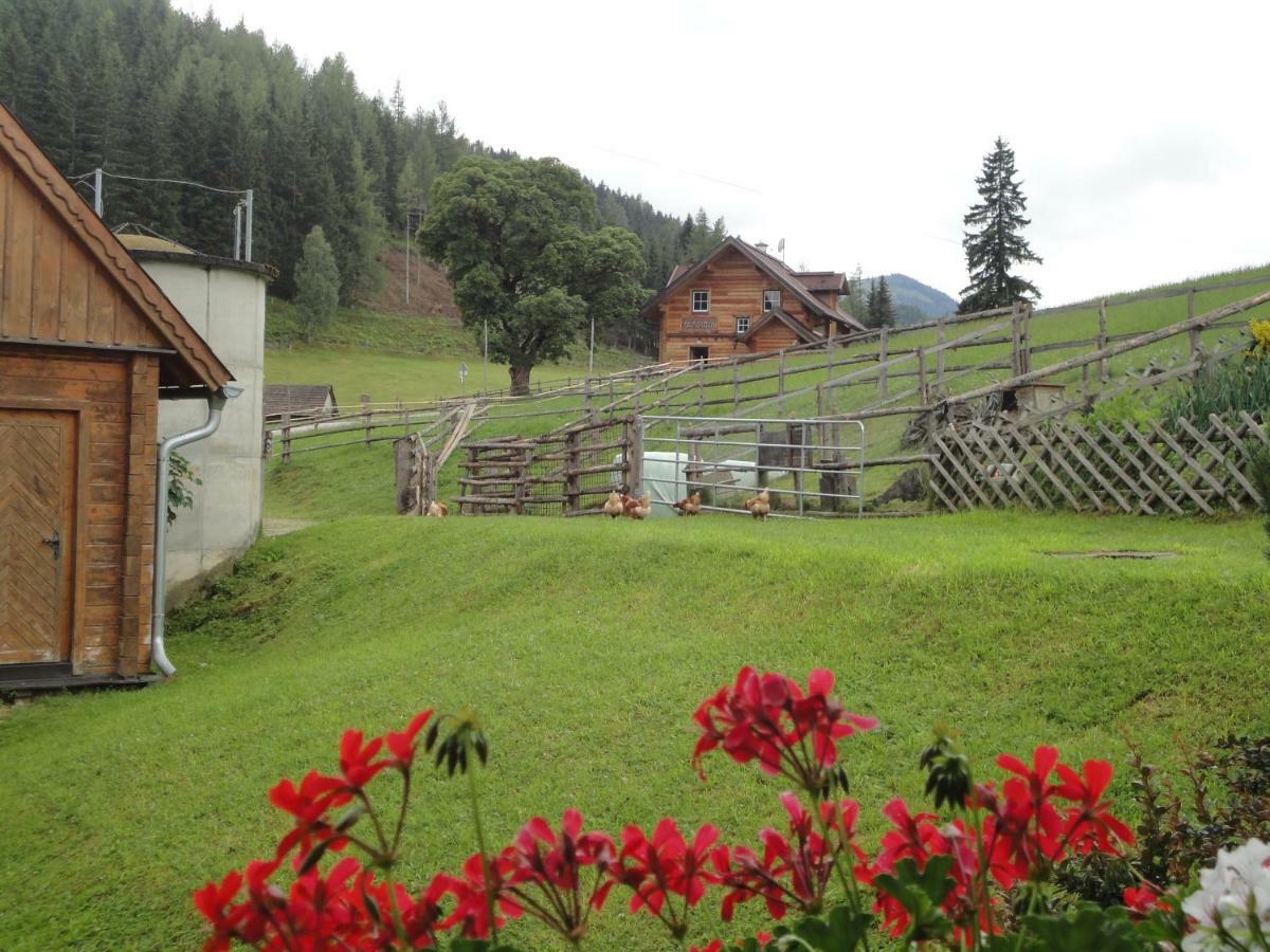 Bichlhütte Ferienhaus *